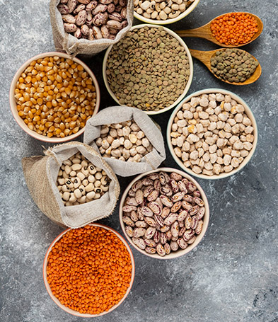 Quality Control and Sustainable Agriculture in Egypt