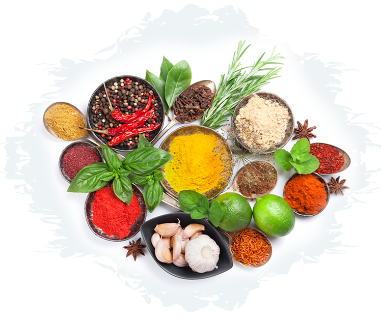 Alpha Foods Egypt Vision and Quality Commitment